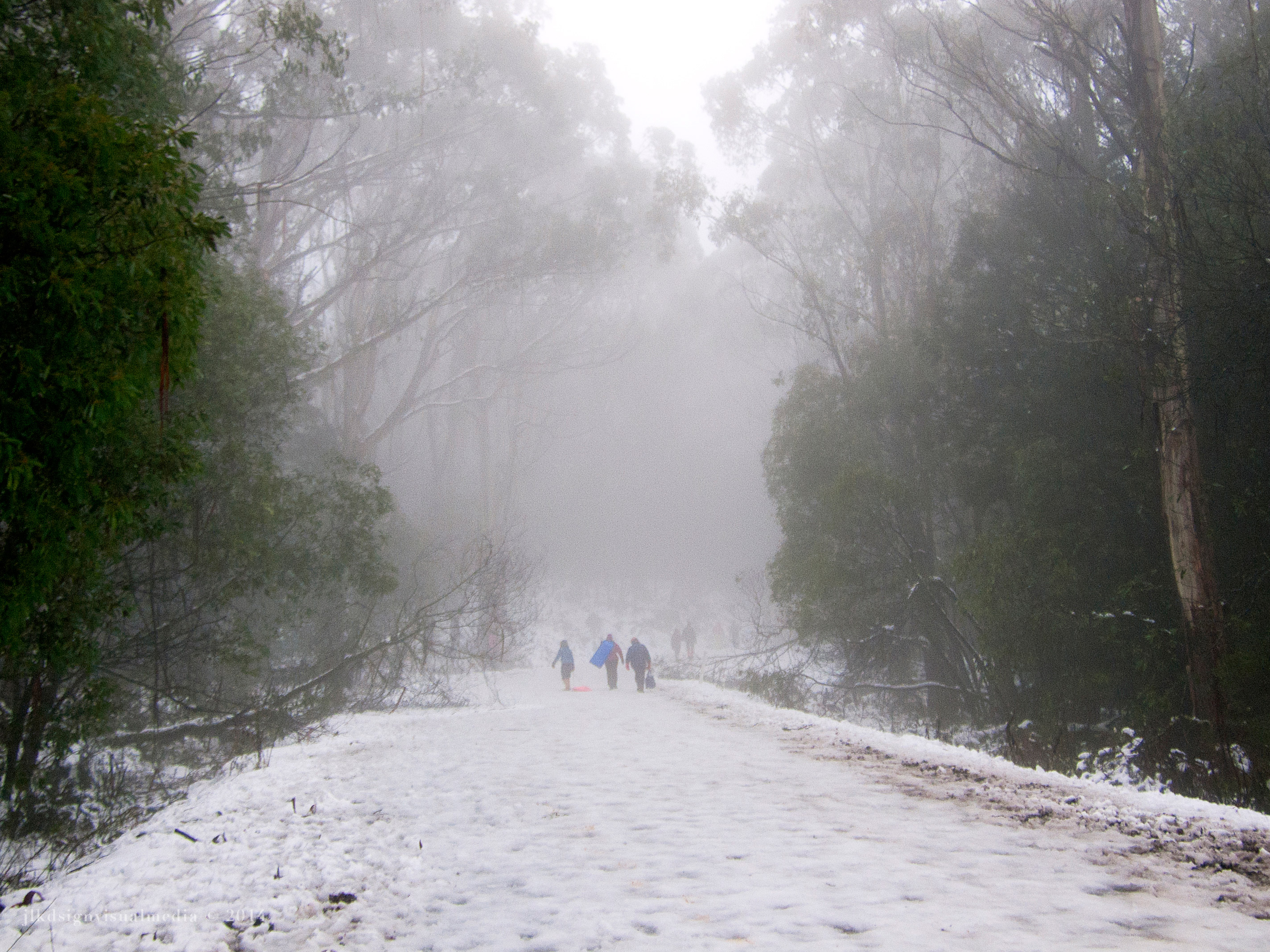 Mt.Donna-Buang.Victoria © JLKDsign 2014