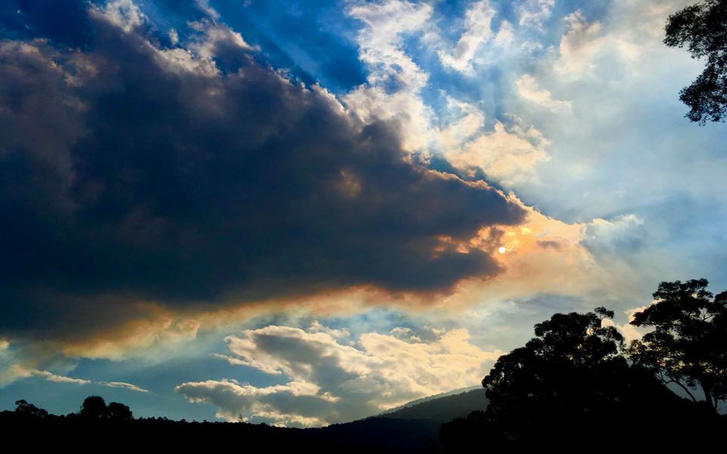 Dragon Cloud